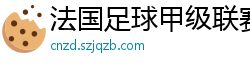 法国足球甲级联赛